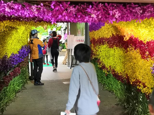 花のトンネル