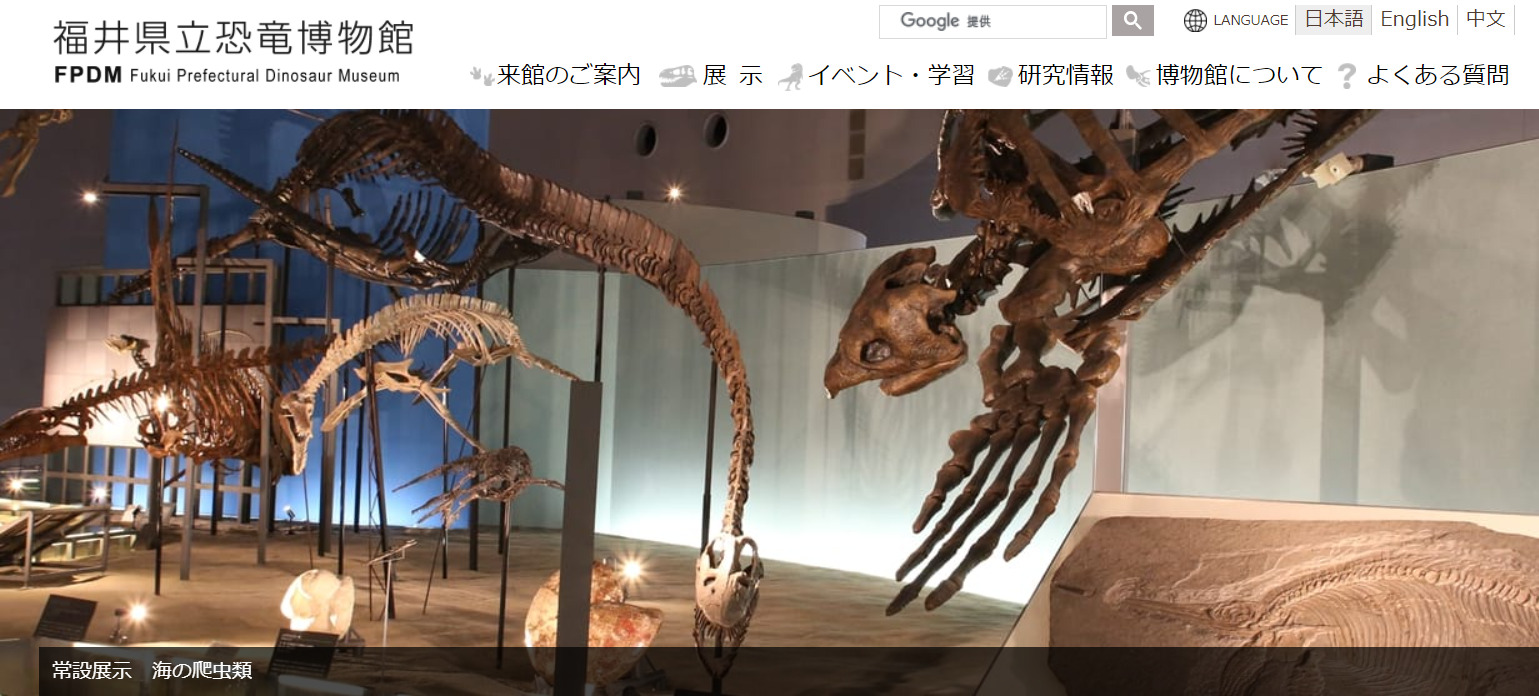 福井県立恐竜博物館について