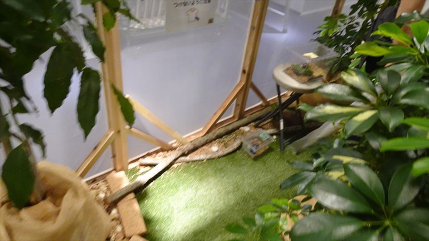 木