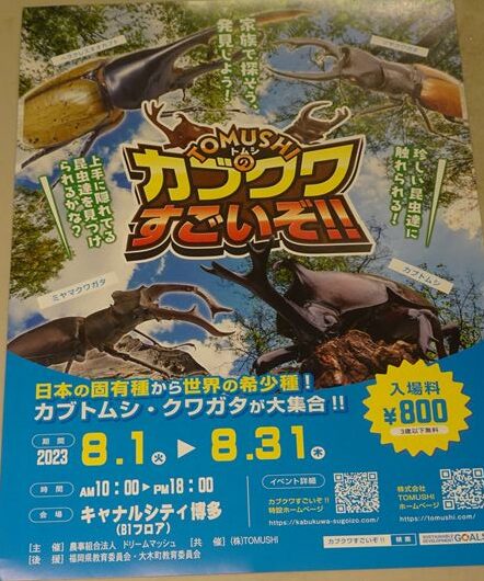 カブクワすごいぞ!!とは？